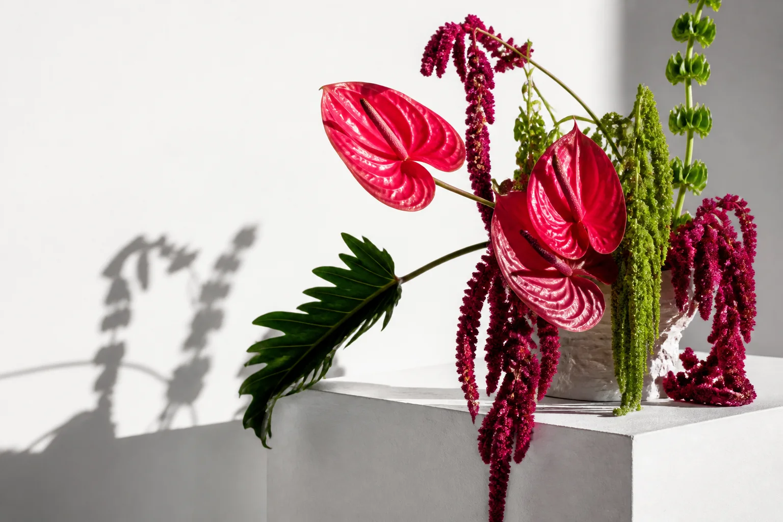 Hot pink anthurium and emerald stems arranged on a white plinth